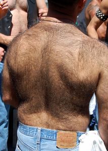 man-hairy-back-by-SFBart.jpg