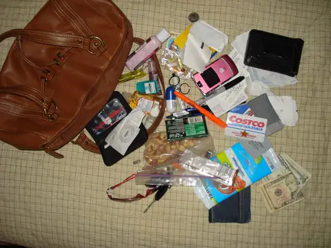 not-an-organized-purse-by-eyesogreen.jpg